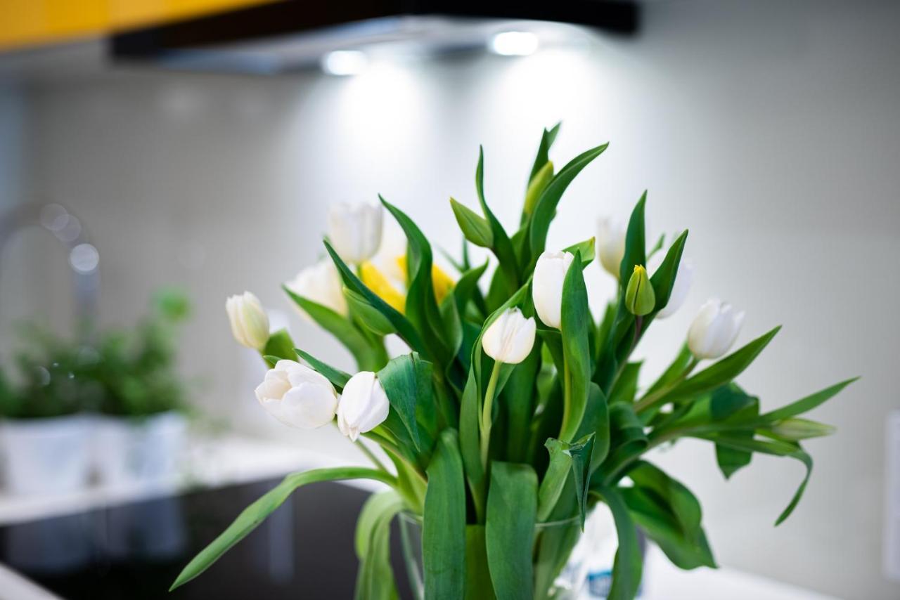 Apartamenty Tespis - Francuska Atal Park II Katowice Esterno foto